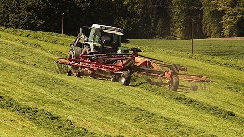 Trudeau adelantó que trabajará que no mueran más trabajadores agrícolas (Foto: Pixabay)