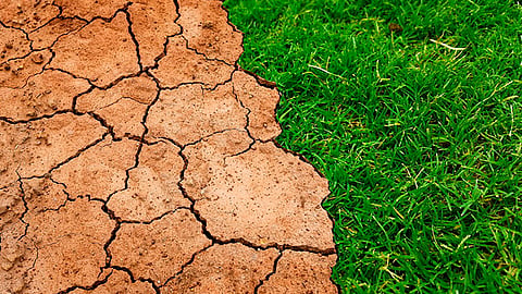 En México se estiman 50 muertes diarias por enfermedades relacionadas a la contaminación, lo cual refleja la gravedad del problema que se tiene (Foto Pixabay.com)