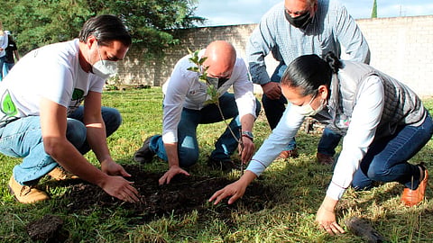 El encargado de la política educativa comenzó con la reforestación de un total de 100 pinos y 50 árboles frutales en diversos planteles del municipio (Foto: cortesía)