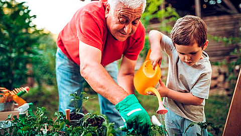 Los abuelos representan la imagen de la sabiduría, experiencia, valores y la tradición (Foto: pixabay.com)
