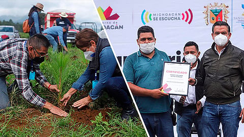 Son 3 mil 490 hectáreas que pertenecen a la comunidad indígena de Patamban (Foto: cortesía)