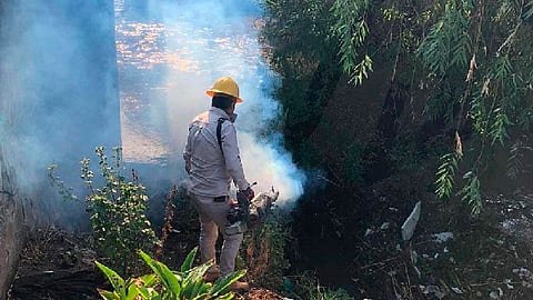 A nivel municipal no se cuenta con un registro de casos de dengue (Foto Facebook: Secretaría de Salud de Michoacán)