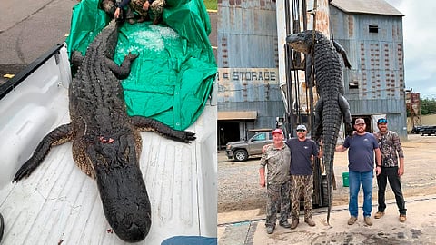 “No teníamos idea de lo grande que era", dijo uno de los pescadores (Foto FB: Travis Bearden)