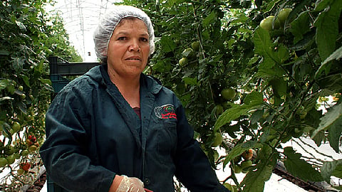 La situación se vuelve más compleja, porque las mexicanas “tienen un trabajo informal, inestable y vulnerable” (Foto: www.gob.mx)