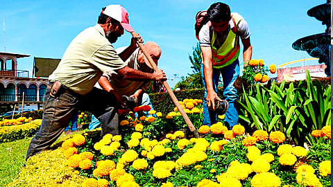 Los trabajos consisten también en remozamiento y mantenimiento de las áreas verdes y espacios públicos (Foto: cortesía)