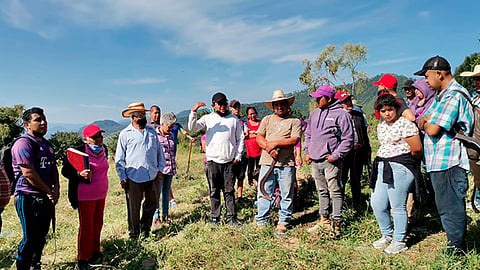 La líder antorchista de la región señaló que están en lucha para lograr resolver próximamente esta necesidad que se ha estado gestionando desde hace 4 años (Foto Cortesía)