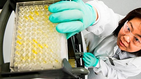 Los reguladores del Reino Unido estudiarán los resultados (Foto: FB/AstraZeneca Careers)