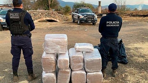 Decomisaron 10 paquetes de la citada hierba con un peso de 118.06 kilogramos (Foto: cortesía)