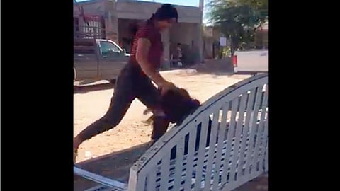 El hecho ocurrió en Hermosillo, Sonora (Foto: captura de video)