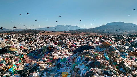 Pese a que el costo por tonelada pasó de 169 pesos en 2018 a 219 pesos este 2021, se paga menos que hace tres años (Foto: Cortesía)