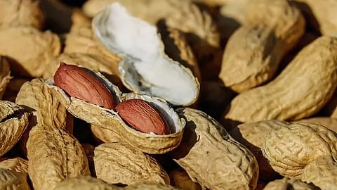 Generan un valor de producción anual de alrededor de 30 millones 570 mil pesos (Foto: cortesía)