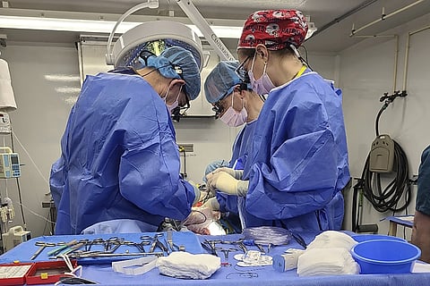 In this photo provided by eGenesis, a genetically modified pig liver is removed in Massachussetts in December, 2023.