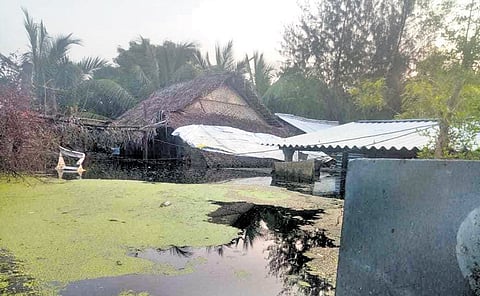The submerged houses in Vellalanvilai village.