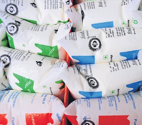 Image of Aavin milk packets used for representational purpose only