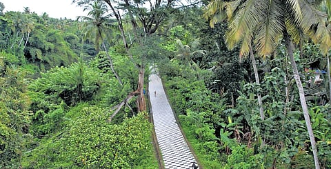 The location at Karamana where the tourism project will come up