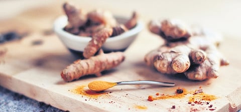 Fresh ginger enhances flavour, while the processed food industry prefers powdered ginger as a condiment.