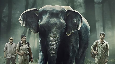 'Poacher'