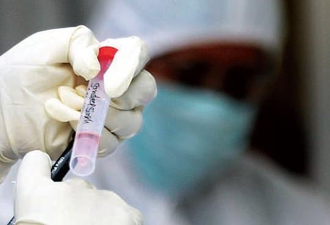 The antibody developed by IISc targets a conserved region found in the core of a major toxin called the three-finger toxin (3FTx) in the venom.