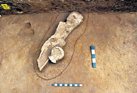 The pot beside the skeleton is typical of neolithic period. Many shreds of burnished red ware and burnished grey ware belonging to the same period were also found at the burial site