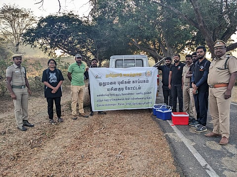 Vaccination drives for feral dogs after confirmation of the deadly Canine Distemper Virus (CDV)