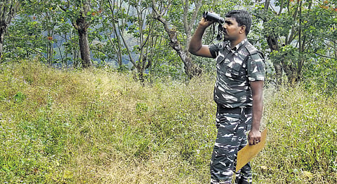 Aravind has been working as a temporary forest staff for 12 years at a salary of Rs 12,500.