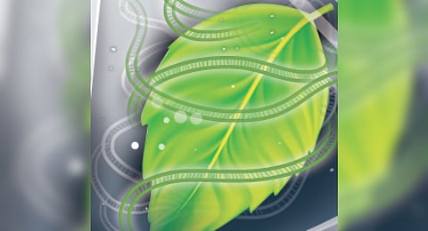 NGT is another form of GM technology - an artificial laboratory method for altering the genetic makeup of a crop or animal.