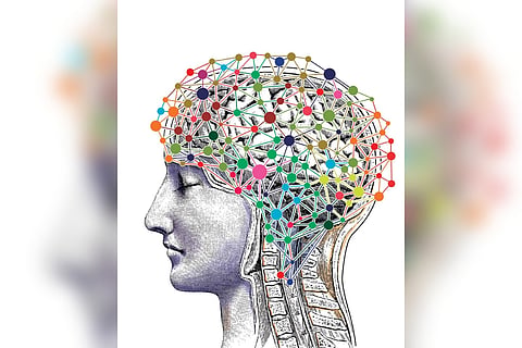 Focus on mental health, quality of treatment, say experts in Karnataka