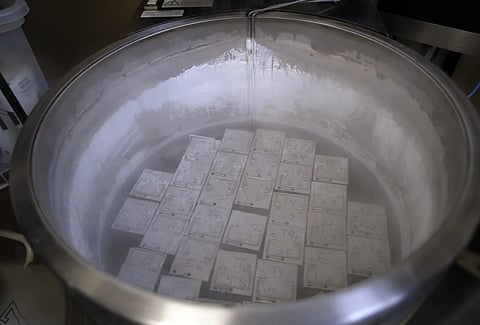 In this Oct 2, 2018 photo containers holding frozen embryos and sperm are stored in liquid nitrogen at a fertility clinic in Fort Myers, Fla.