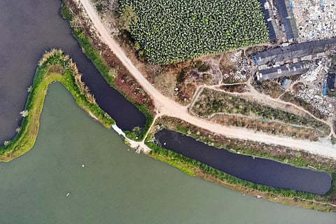 An aerial view of the restored Bingipura lake in Bengaluru.
