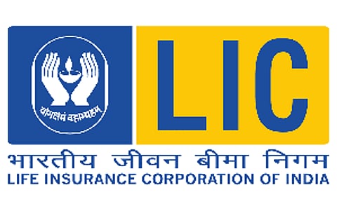 LIC image used for representation
