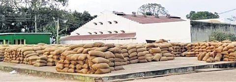 Odisha: Nabarangpur farmers head to Chhattisgarh to sell paddy, procurement hit