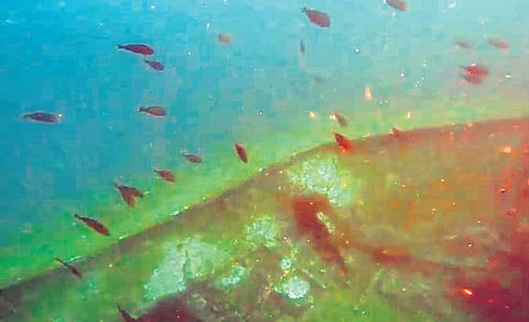A video grab of the shipwreck discovered by scuba divers off Varkala