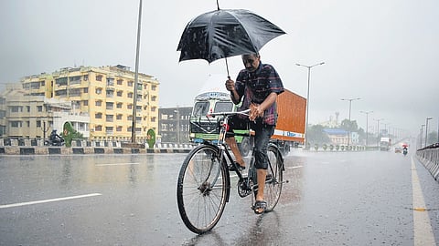 A man rides his bicycle holding an umbrella amid rain in Bhubaneswar