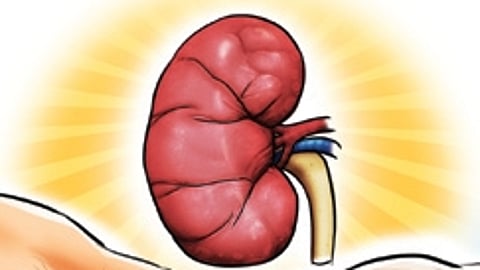 A study published in October 2020 underscored the alarming reality that CKD affects 32.2% of the population in the Uddanam area alone.