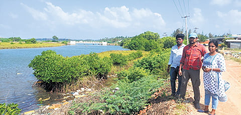 Members of NEWS near the mangrove forest they built
in Karaikal district