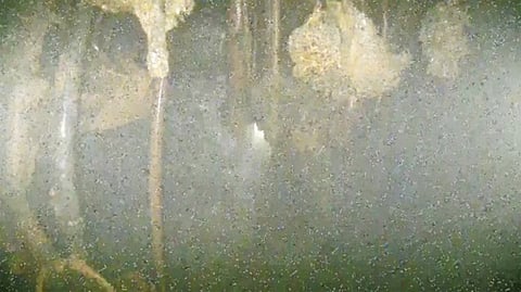 This drone image provided by Tokyo Electric Power Company Holdings (TEPCO) shows displaced equipment and misshapen materials inside the No 1 reactor as a drone probes the inside of the worst-hit reactor at the wrecked Fukushima Daiichi Nuclear plant.