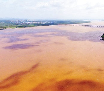 File photograph of Godavari river