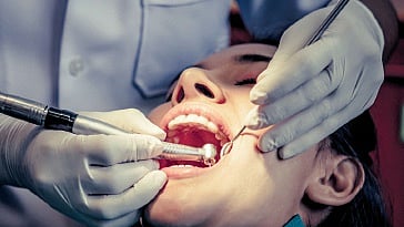 Teeth