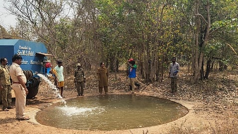 Forest officials arranged water facilities in Nallamala forest to solve water thirst for wild animals.