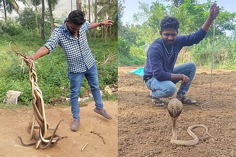 Ashok’s love for the reptile began at the age of 17 when he
was bitten by a
snake | Express