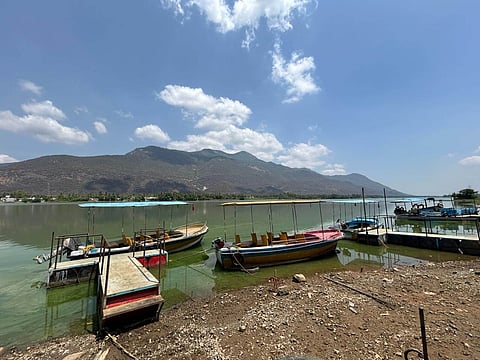 Poolampatti Lake lacks basic facilities and surrounded by dense green algae which affects the tourists population.