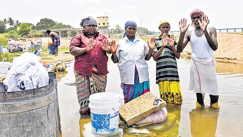 Dhobis in Tiruchy showing their worn-out palms