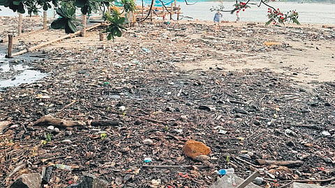 The garbage-filled Fort Kochi beach