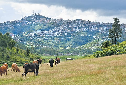 Champhai town