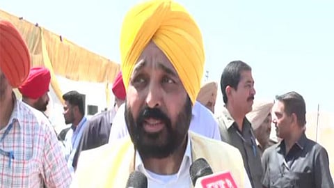 AAP leader and Punjab CM Bhagwant Mann.