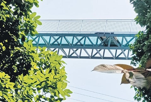Glass bridge at Akkulam Tourist Village