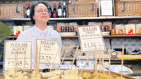 A variety of cheese on display