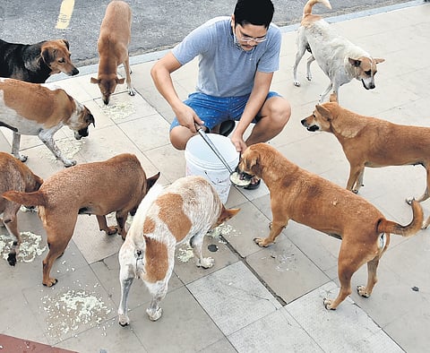 Thiruvanmayur based dog lover feeds the stray dogs at Besant Nagar beach, while it is closed for public following lockdown evening in Chennai
