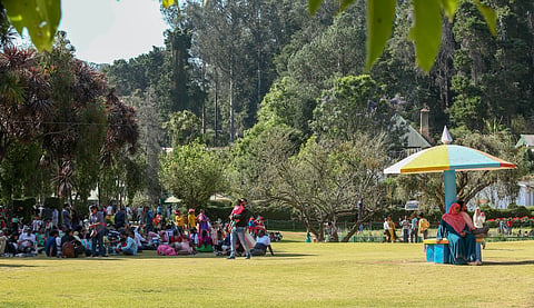 Despite the sizzling sun, tourist footfall continues to increase at the Government Botanical Garden (GBG) in Ooty. (Photo | Yoga)