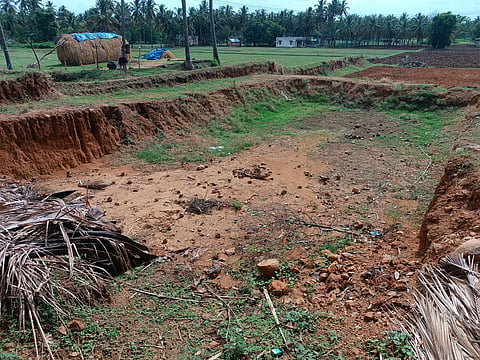 Farm pond, of the 1,556 constructed in Tirupattur last year for the world record, covered in grass, silt as result of poor maintenance